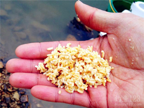 自制釣魚魚餌配方_怎樣自制釣魚餌料配方法_釣魚自制魚餌配方大全