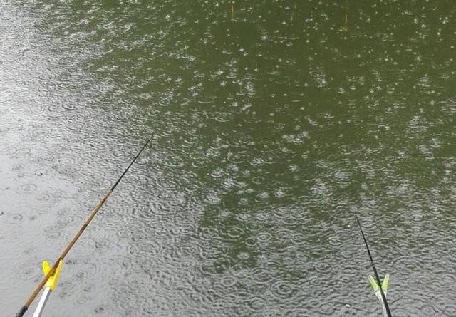 夏季釣深水_初夏釣魚釣深水還是淺水_夏季釣魚是深水好還是淺水好