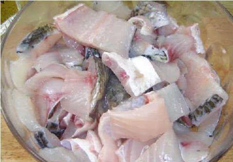 魚苗吃什么飼料長得快_魚苗吃什么_魚苗吃饅頭渣嗎