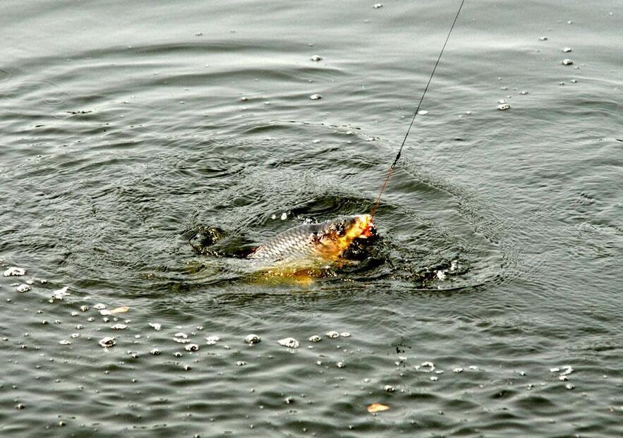 魚線與魚竿正確綁法_綁魚竿線的方法_綁魚竿教程