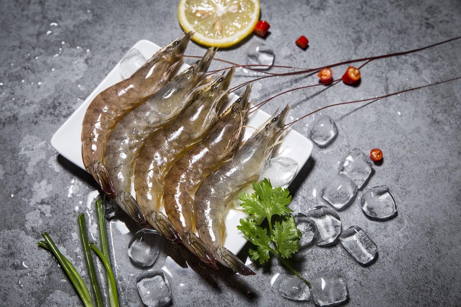 自制海釣魚餌_釣魚自制餌海參怎么做_自制海魚餌料