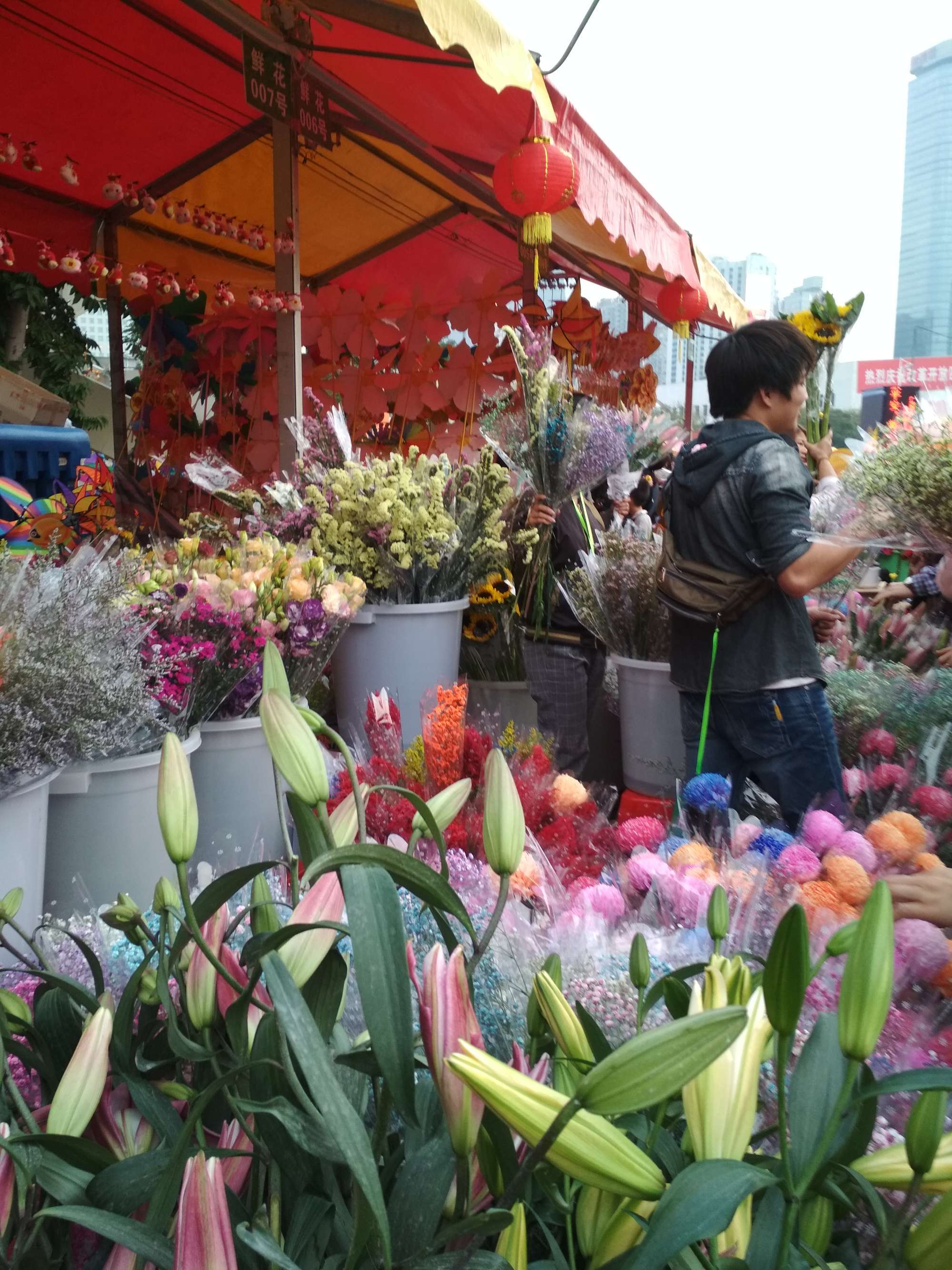 芳村嶺南花卉市場一盤大花蕙蘭待放