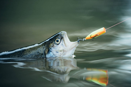 如何綁魚竿線視頻教程_魚線與魚竿正確綁法_怎樣綁魚竿魚線