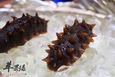 海參多久吃一次_海參吃多久有明顯效果_海參吃多了對身體有害嗎