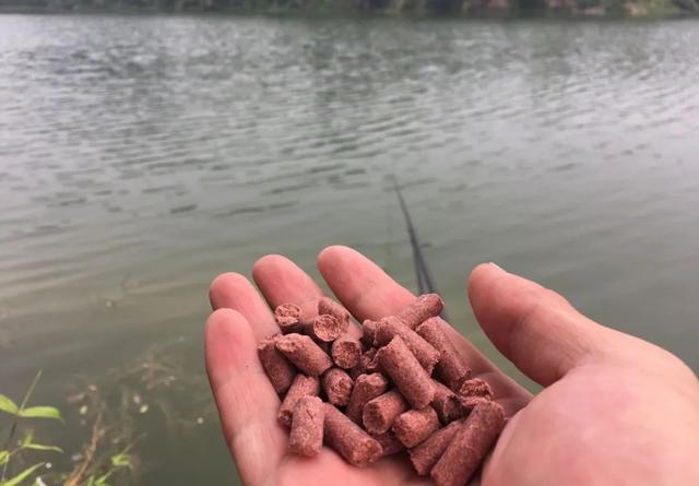 魚餌小藥有用嗎_魚餌小藥_魚餌小藥配方