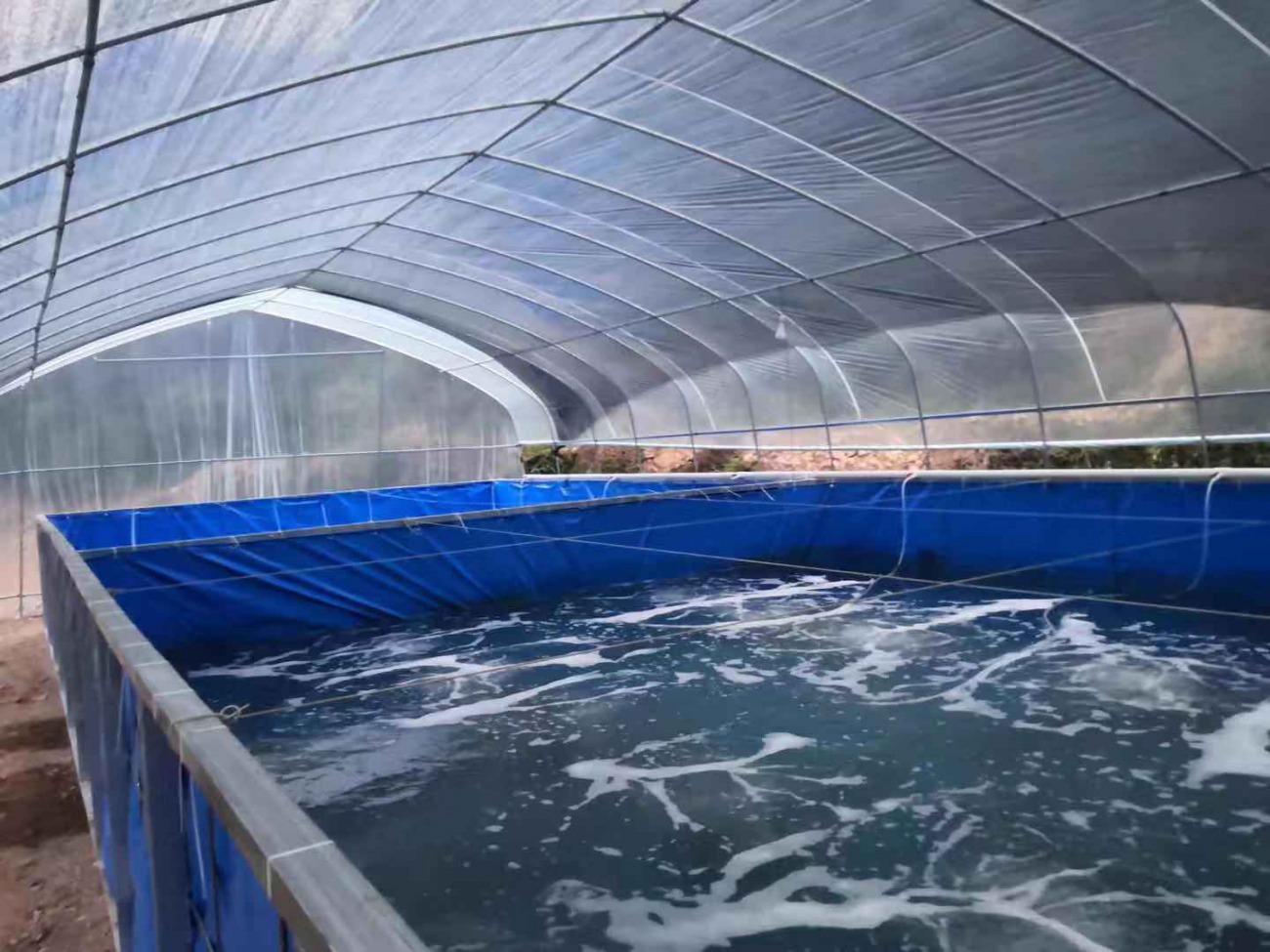 清水無魚_清水無魚是什么意思呢_清水無魚求下聯