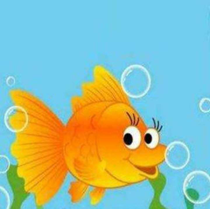 金魚圖片唯美高清圖_金魚圖片大全可愛圖片大全圖片_小金魚圖片