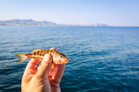 視頻免費下載海釣軟件_海釣視頻下載免費_視頻免費下載海釣教程