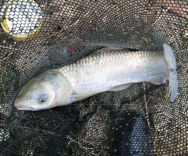 遵義釣魚城_遵義釣場大全_遵義釣魚網