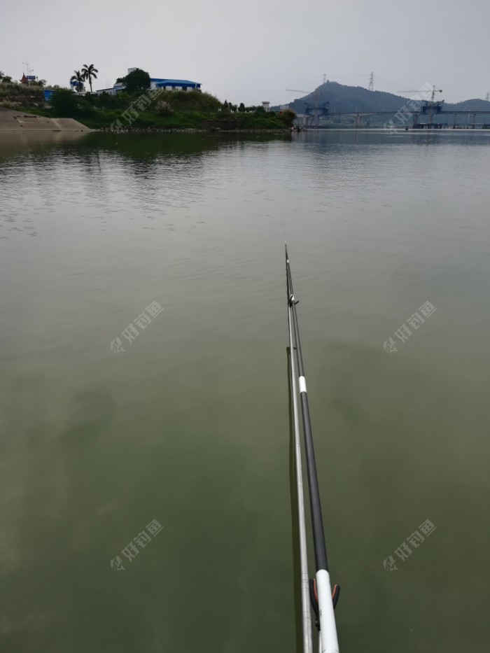 釣魚視頻高手視頻大全_釣魚視頻高手大全_高手釣魚視頻