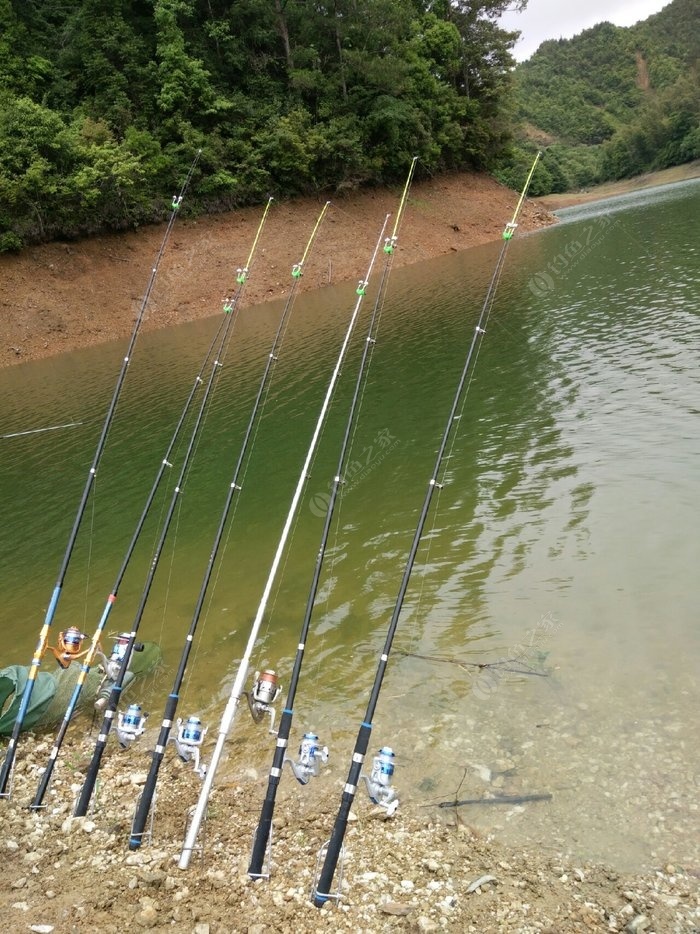 清水魚無刺_清水無魚_清水無魚求下聯