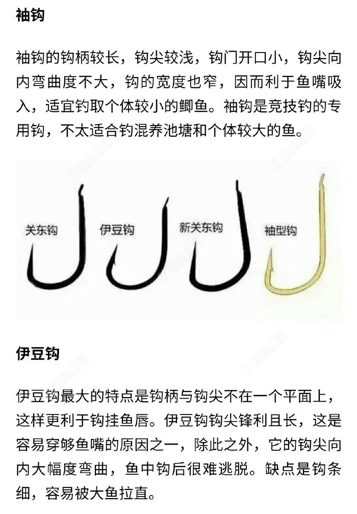釣鱸魚子線幾號_海釣鱸魚釣組用多大主線和子線_鱸魚主線和子線怎么搭配