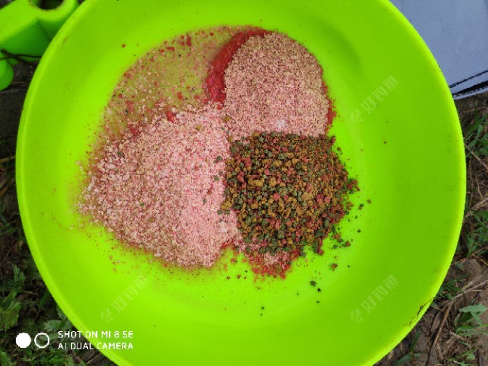 五月份釣草魚_釣草魚的最佳月份_釣草魚是什么月份和天氣