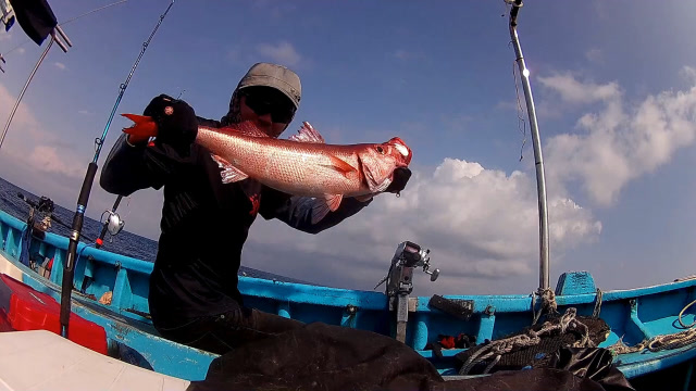 釣主線多大鱸魚組線子好用_海釣鱸魚釣組用多大主線和子線_釣鱸魚子線幾號