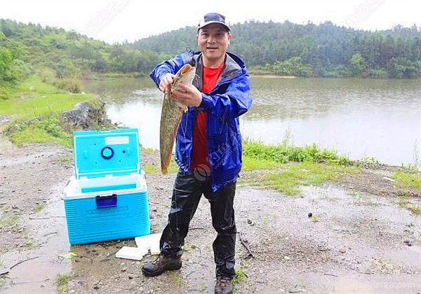 鄧剛釣魚盤水庫各大視頻_鄧剛釣魚視頻盤老板_鄧老師釣魚盤老板