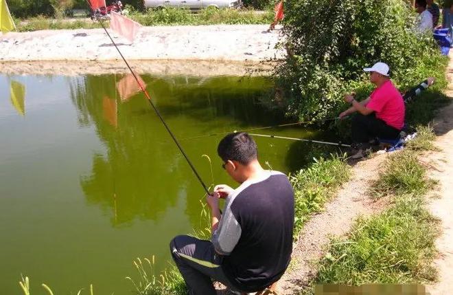 鄧剛釣魚盤水庫各大視頻_鄧老師釣魚盤老板_鄧剛釣魚視頻盤老板