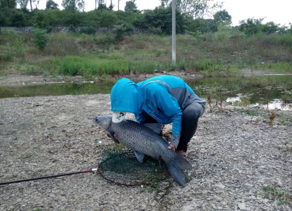 水庫釣魚技巧_釣魚水庫技巧視頻_水庫釣魚教程