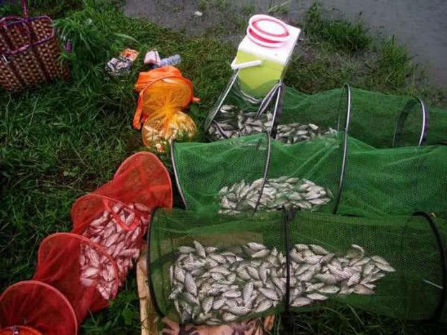 釣魚視頻鄧剛_鄧剛釣魚盤水庫各大視頻_鄧剛釣魚視頻盤老板