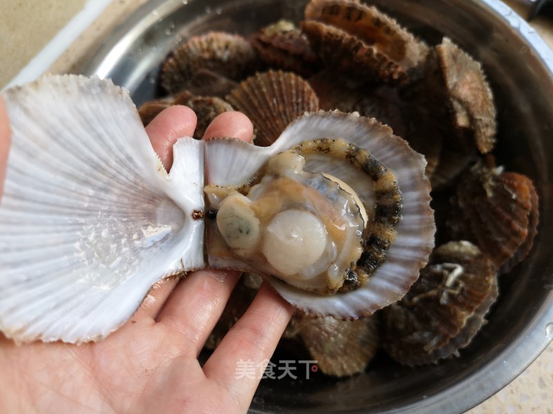 清洗扇貝的正確方法_清洗扇貝的方法_扇貝怎么清洗