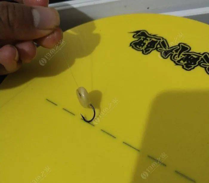 釣鯉魚餌料正確方法調漂技巧_釣鯉魚餌料正確方法調漂視頻_釣鯉魚餌料調漂的正確方法