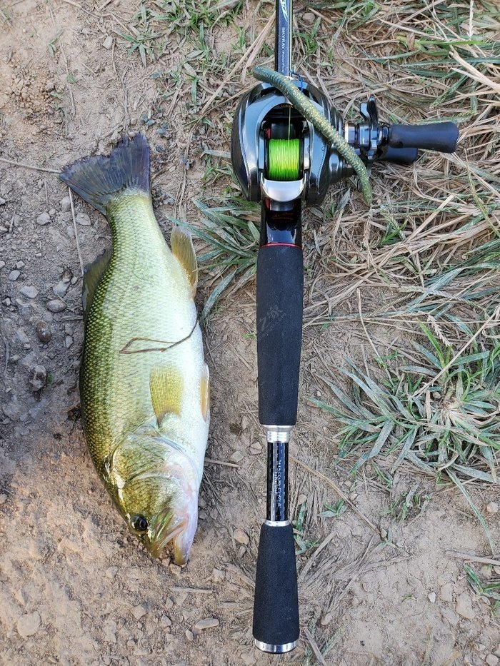 藍旗魚小汐路亞_藍旗魚路亞海鱸視頻_藍旗魚小汐海鱸