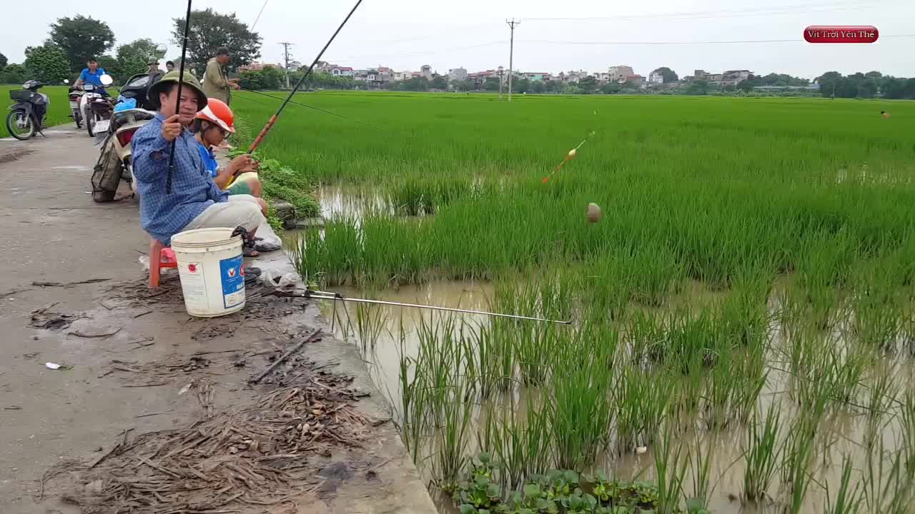 鄧剛釣魚視頻盤老板_鄧剛釣魚盤水庫各大視頻_鄧老師釣魚盤老板