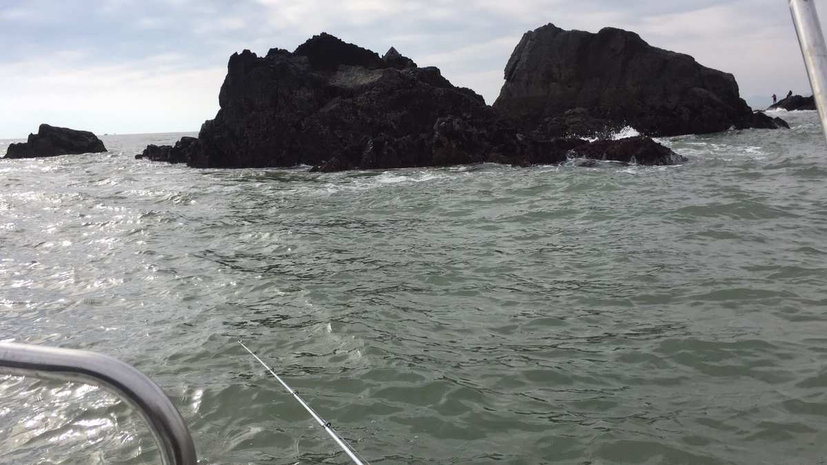 大海釣大魚視頻_大海釣魚視頻_大海釣魚的視頻