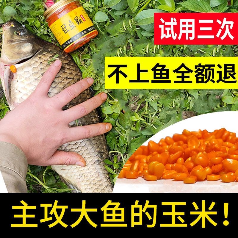 排名第一的草魚餌料_草魚餌料推薦幾款好_哪款餌料釣草魚好