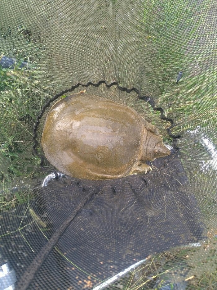 老鬼釣魚視頻游釣世界_老鬼釣魚寬頻網_老鬼釣魚論壇手機版