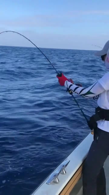 大海釣魚視頻_大海釣魚視頻直播全集_大海釣魚的視頻