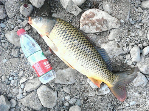 尋找釣魚場空之軌跡_零之軌跡釣魚_軌跡釣魚哥