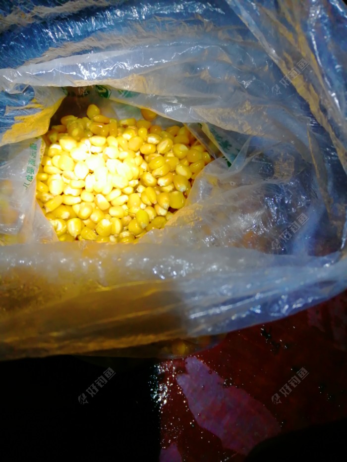 釣鯉魚老壇玉米的制作方法_老壇玉米野釣鯉魚_老壇玉米釣鯉魚效果怎么樣