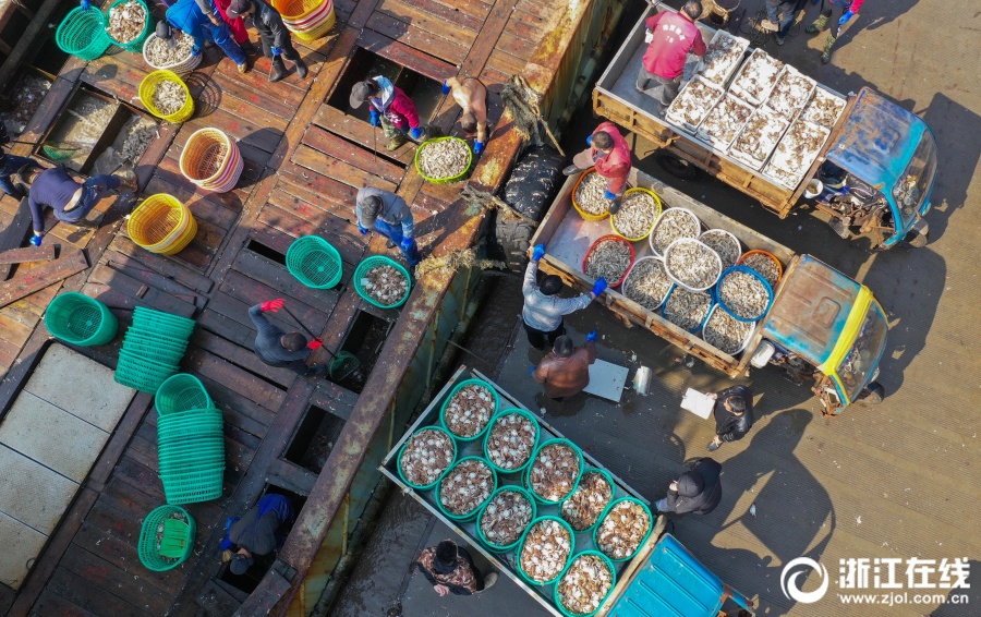 金槍魚產地是哪里_產地金槍魚是海魚嗎_產地金槍魚是哪里的