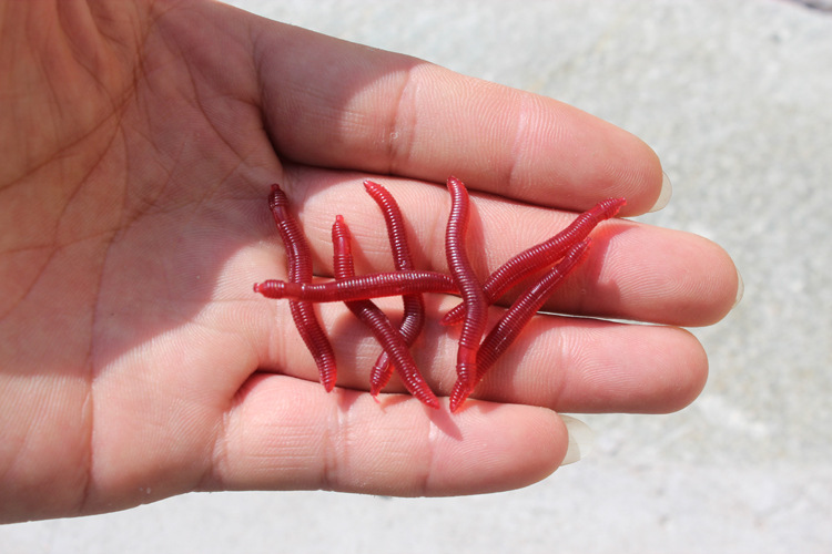 墜釣魚圖解雙鉤調漂方法_墜釣魚圖解雙鉤調漂視頻_雙墜雙鉤釣魚調漂圖解