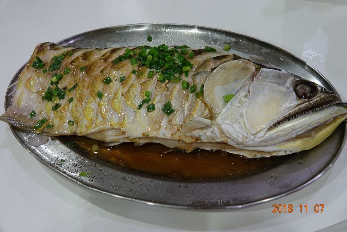 銀龍魚吃別的魚嗎_銀龍魚可能吃_銀龍魚能吃嗎