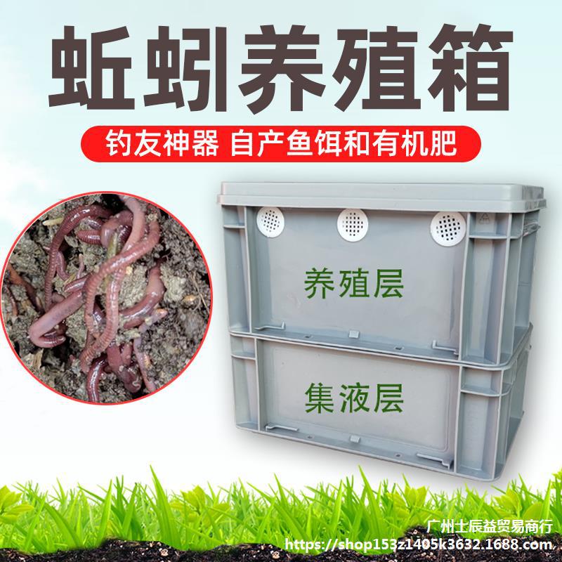 蚯蚓養殖_養殖蚯蚓的方法和技術_養殖蚯蚓一畝利潤多少