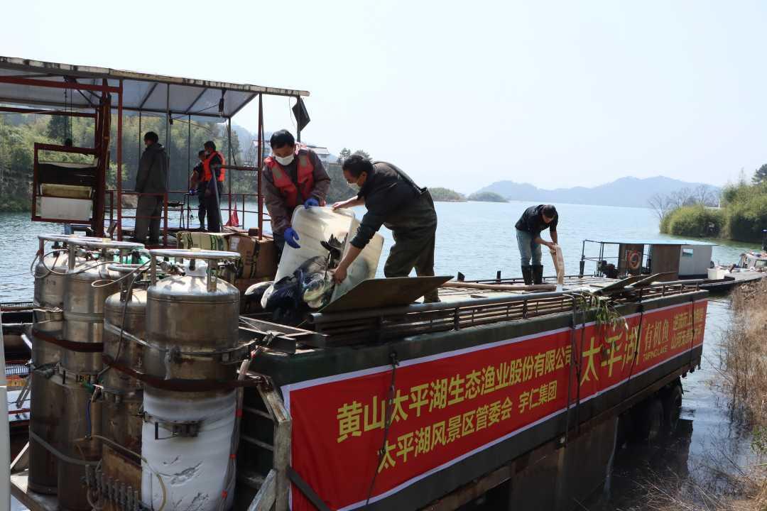 四海釣魚直播四海釣魚頻道_四海釣魚頻道的主持人_釣魚頻道四海釣魚直播視頻