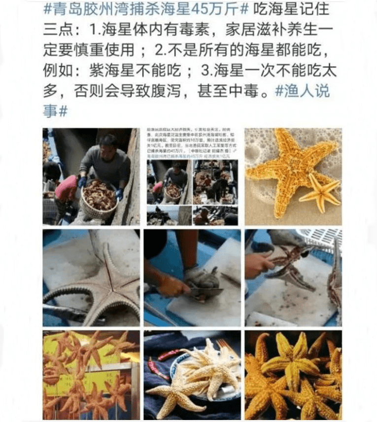 海星吃海星_海星能吃什么部位_海星能吃