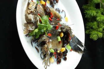 刺鰩是什么魚_刺魟魚怎么讀_鰣魚多刺是什么意思