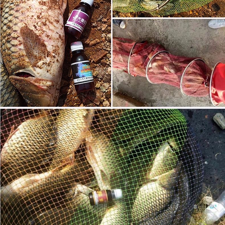 怎樣配制釣鯽魚的餌料_釣鯽魚餌料配方制作方法_釣鯽魚餌料配方大全簡單實用