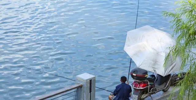 視頻釣魚竿釣魚視頻教程_釣魚視頻技巧手竿怎么用_手竿釣魚技巧視頻