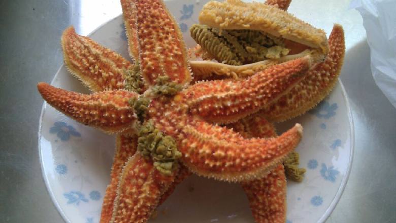 海星吃不吃人_海星能吃_海星是否可以吃