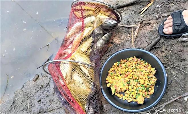 浮釣草魚離水底多少米_釣草魚釣離底好還是釣底好_浮釣草魚離水底多少