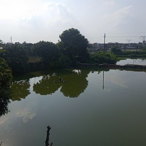 釣蟮魚視頻_釣鯪魚視頻大全_釣鯪魚視頻大全高清