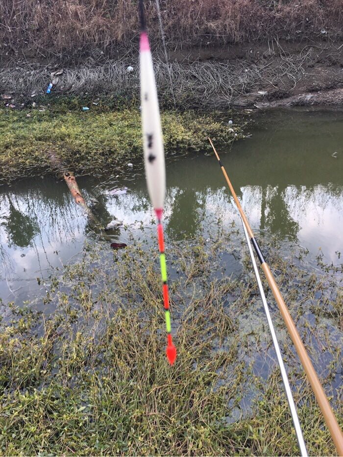 釣蟮魚視頻如何掙錢_釣鯪魚視頻大全_釣鯪魚視頻大全高清