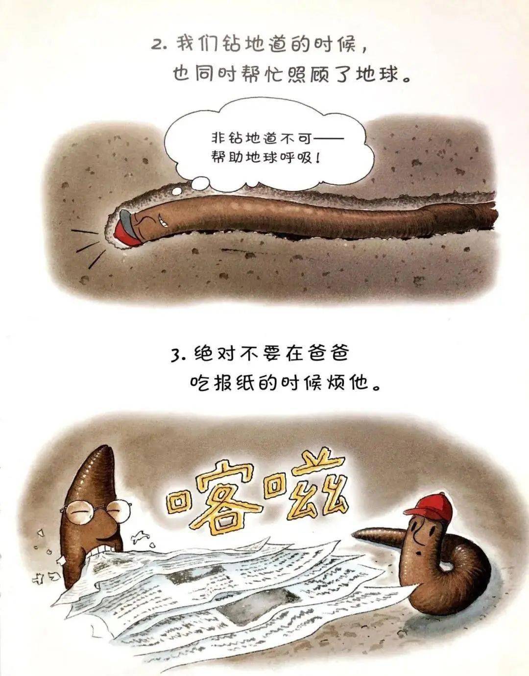 繁殖蚯蚓配方比例_繁殖蚯蚓用什么土_蚯蚓怎么繁殖