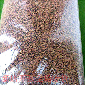 甲魚怎么繁殖的_甲魚繁殖視頻教程_甲魚繁殖技術