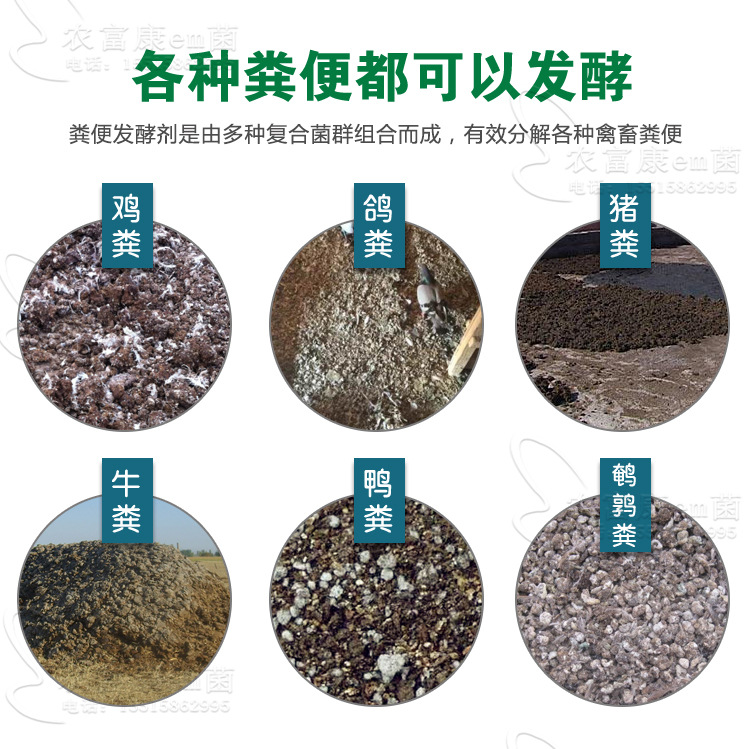 如何繁殖蚯蚓_蚯蚓怎么繁殖_繁殖蚯蚓配方比例