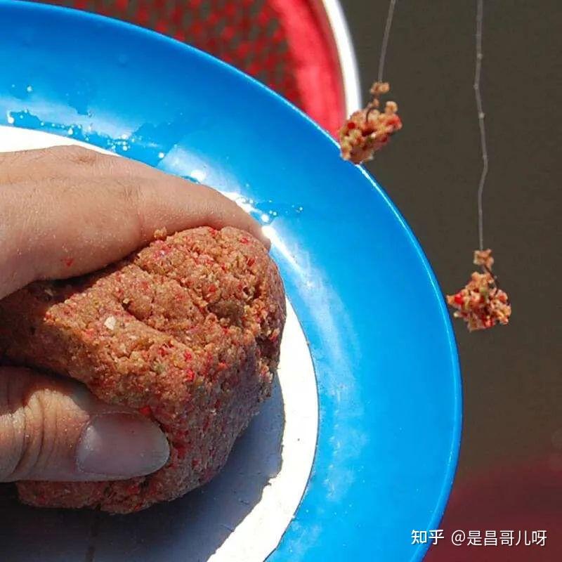 初冬怎樣釣鯉魚_初冬釣鯉魚的溫度多少合適_初冬季節釣鯉魚