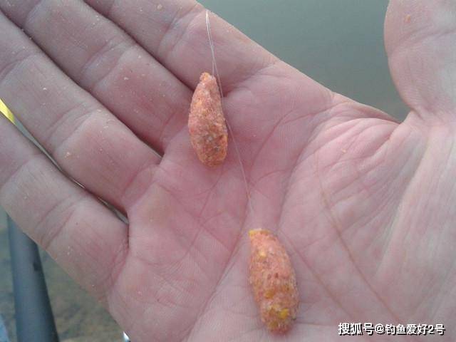 初冬釣鯉魚的溫度多少合適_初冬怎樣釣鯉魚_初冬季節釣鯉魚